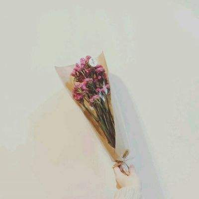 小宝宝医生手机版下载